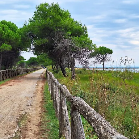 Lovely Flat Next To Lido Dei Pini-beahost *
