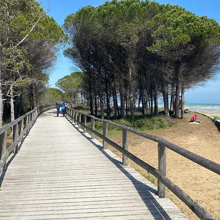 Apartamento Lovely Flat Next To Lido Dei Pini-beahost *