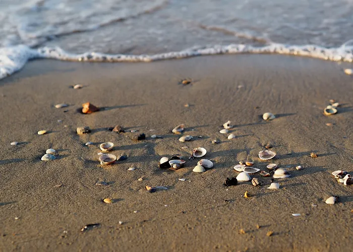 Apartment Lovely Flat Next To Lido Dei Pini-beahost *